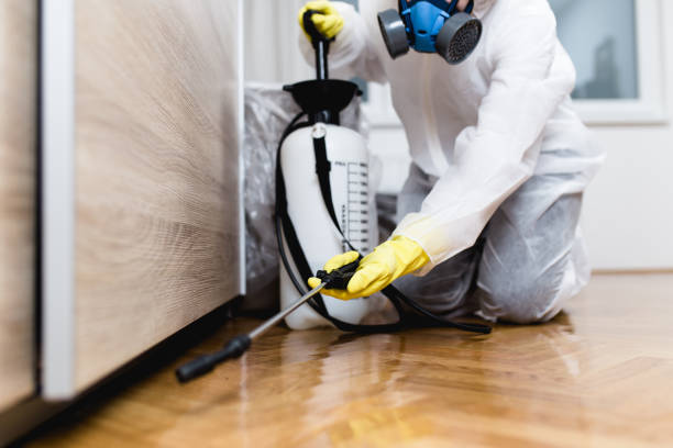 Best Wasp Removal Services  in Amelia, OH