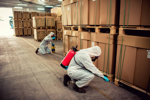 Wildlife Control Services in Amelia, OH