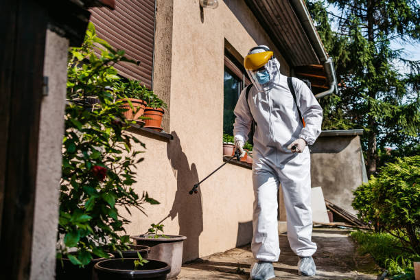Best Pest Prevention Services  in Amelia, OH