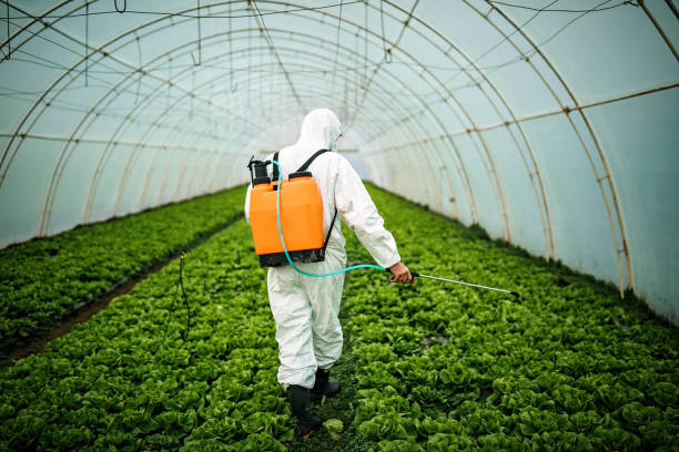 Best Best Pest Control Companies  in Amelia, OH