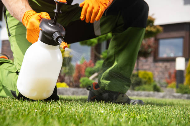 Best Affordable Pest Control Services  in Amelia, OH