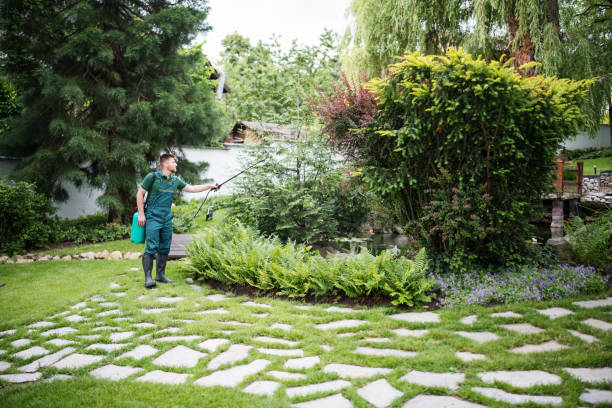 Best Local Pest Control Services  in Amelia, OH