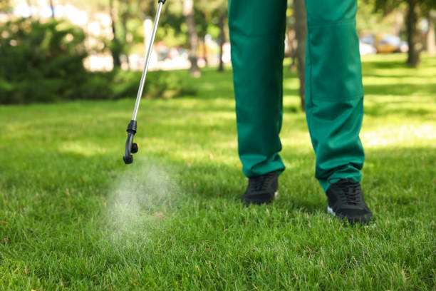 Best Pest Control Near Me  in Amelia, OH