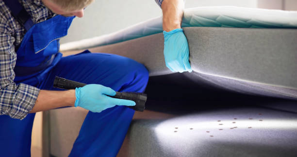 Best Pest Removal Services  in Amelia, OH