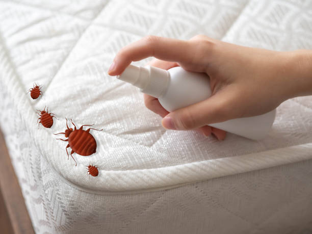 Best Best Pest Control Companies  in Amelia, OH