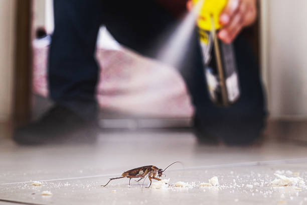 Best Residential Pest Control  in Amelia, OH