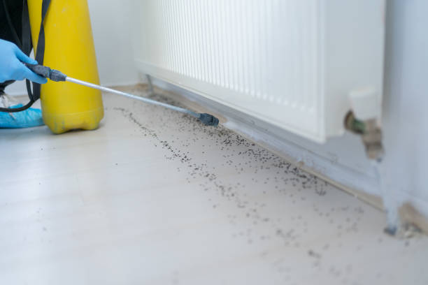 Best Pest Inspection Near Me  in Amelia, OH